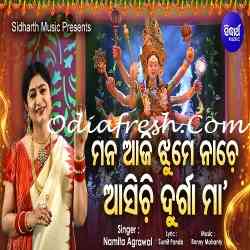 Mana Aji Jhume Nache Asichi Durga Maa